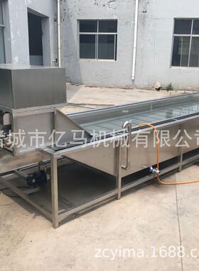 大蒜气泡清洗机辣椒果蔬清洗设备大型净菜设备不锈钢气泡清洗机
