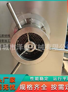 商用大型冻肉绞肉机 不锈钢鸡头鸡骨架绞切机 冻奶酪绞碎设备