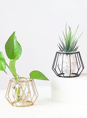 热卖新款铁艺水培摆件创意家居装饰盆栽绿植北欧风客厅桌面摆饰
