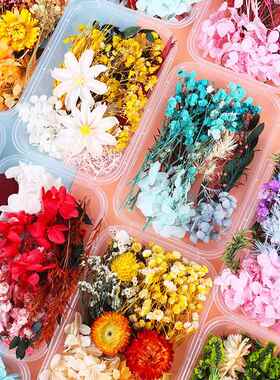 手工团扇相框浮游花diy蜡烛压花材料包真花干花混合花diy材料包