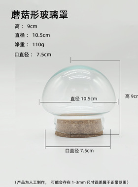 diy玻璃罩软木塞纪念品装饰摆件