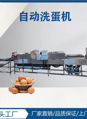 多排洗蛋机全自动鸡蛋清洗风干光捡设备野鸡蛋杀菌喷油机