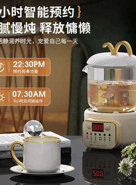 养生壶迷你办公室小型养生杯多功能煮茶壶mini煮茶器玻璃一人用