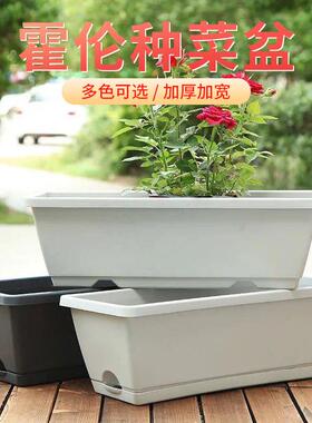 新款霍伦种菜盆家用阳台加厚大花盆蔬菜盆霍伦盆种植盆塑料花盆