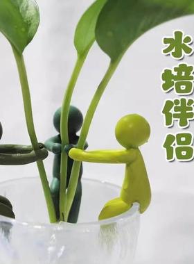 新型水培植物生长配套水培容器傅正飞之桌面装饰固定形抗倒伏叶