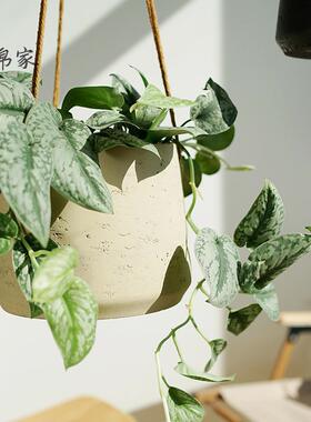 北欧壁挂水泥吊挂花盆垂吊植物吊篮挂墙吊盆悬挂式阳台吊兰盆栽