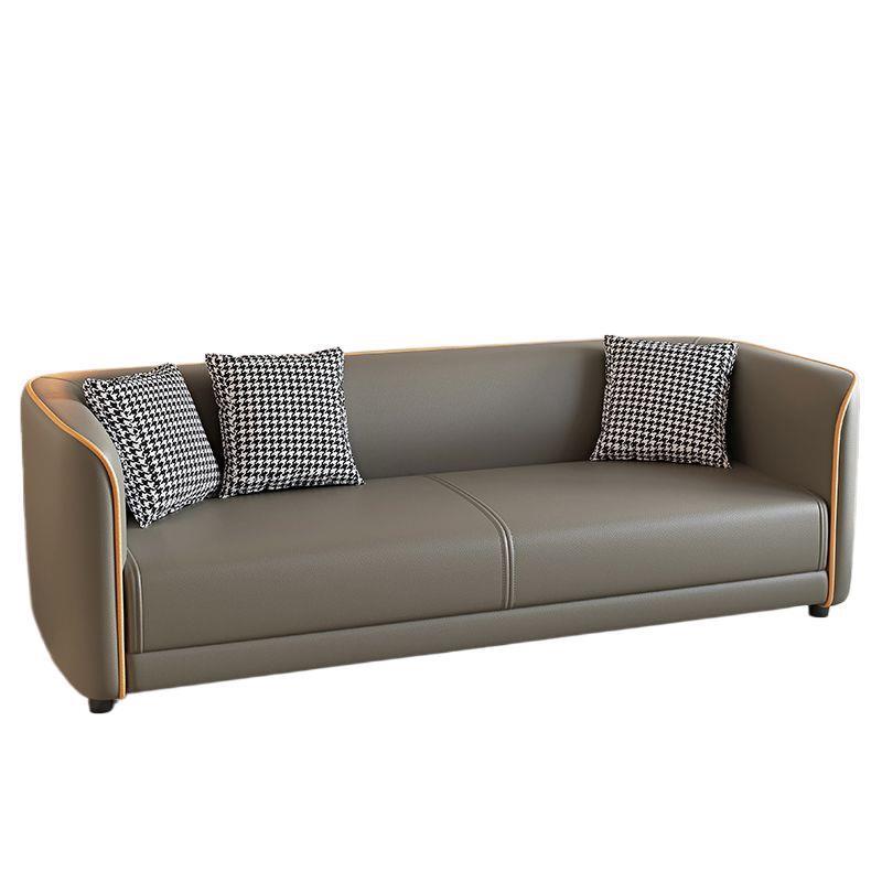 Cat claw leather Italian light luxury small apartment living room apartment rental house leather fabric sofa double three person convenient sofa
