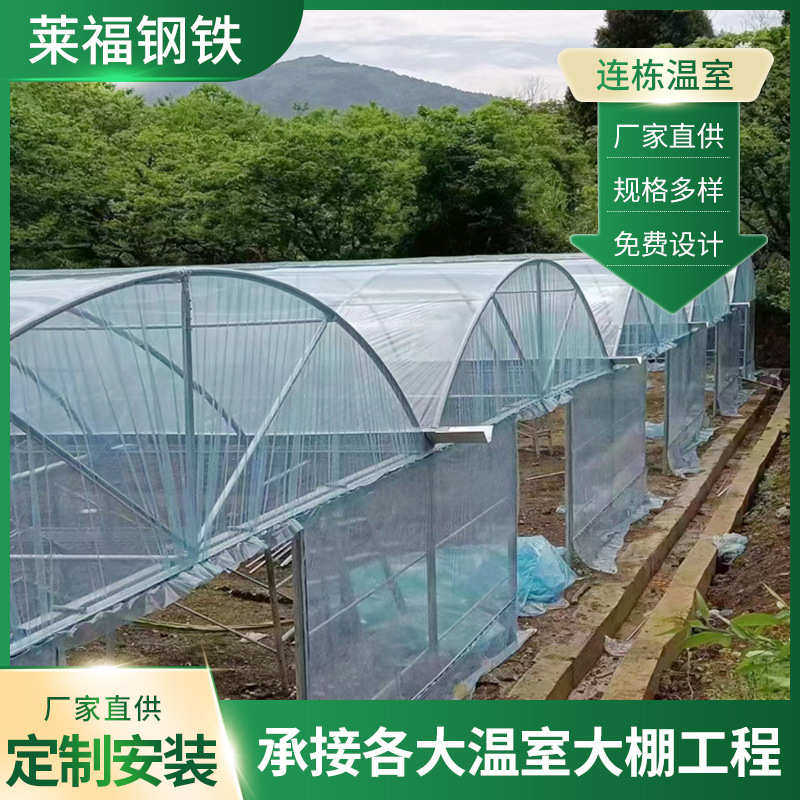 厂家薄膜连栋温室大棚花卉水果蔬菜大棚农业观光种植大棚骨架安装,淘宝优惠券,粉丝福利购,淘宝优惠卷