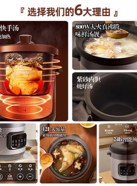 水全晶宫12升商用电炖锅超快煮神紫DDG-120K砂自动炖锅煲电汤锅砂
