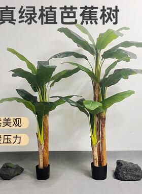 仿真绿植芭蕉树栽室客厅盆装品KS-6682假内植物香蕉树摆件造景仿
