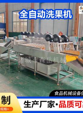橄榄果鸡蛋果清洗机304不锈钢山东诸城工厂水果平行毛刷洗果机