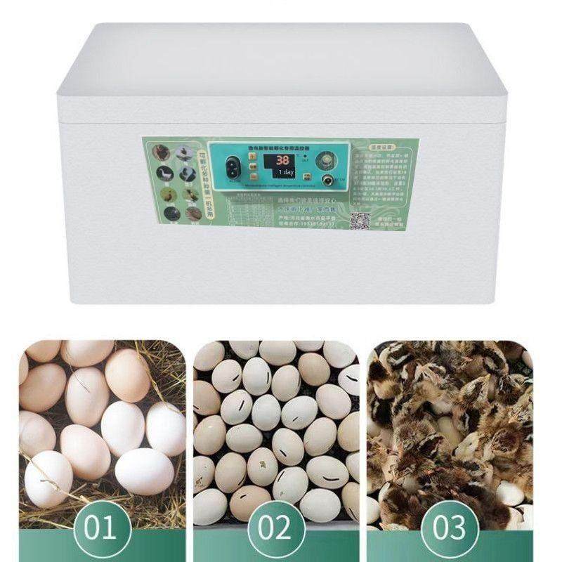 鸡鸭鹅孵化器水床家用孵蛋器全自动控温小型孵化芦丁鸡鸟类孵化机,淘宝优惠券,粉丝福利购,淘宝优惠卷