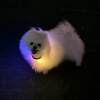 Dog walking artifact dog luminous collar night pet anti-lost locator fluorescent bright dog collar neck collar