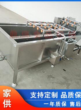 鼎信机械 小型毛桃清洗机 果脯气泡清洗机 小番茄清洗加工设备