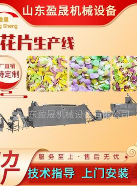 大型面包糠膨化机大型雪花片膨化机面包糠膨化机膨化糠生产线