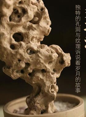 太湖石观赏石天然原石奇石鱼缸摆件假山石头景观石盆景园林摆件