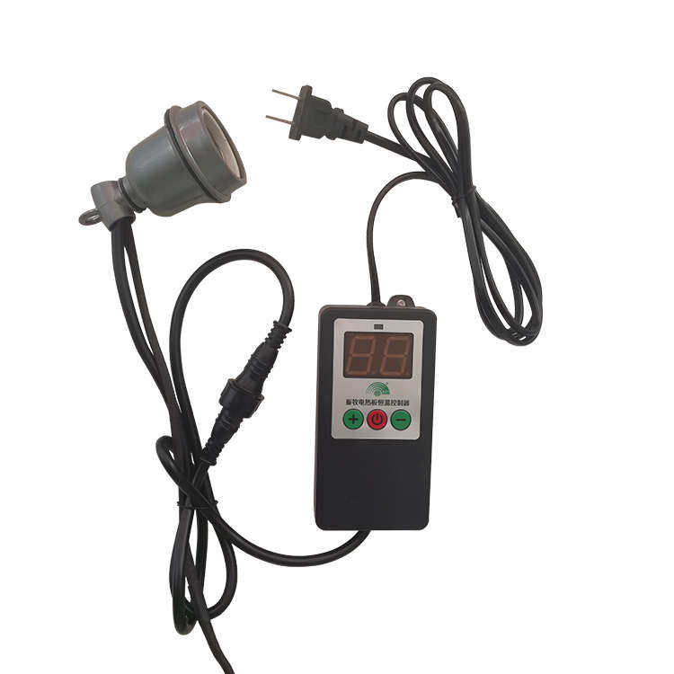 节能仔猪保温箱温控器恒温孵化箱开关芦丁鸡宠物鹌鹑乌龟取暖灯泡,淘宝优惠券,粉丝福利购,淘宝优惠卷