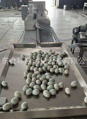 无菌蛋杀菌洗蛋机蛋电子重量分级商用鸡鸭蛋类洗蛋机全自动洗蛋机