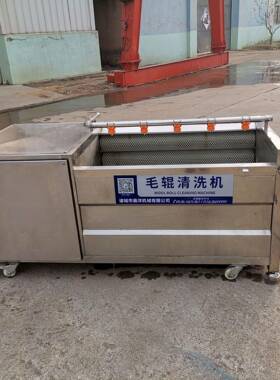 粽子荷叶芭蕉叶毛辊清洗机根茎类人参地黄毛辊清洗机