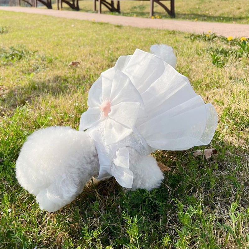 宠物纱裙子泰迪博美比熊贵宾雪纳瑞小型犬猫咪狗狗衣服夏季薄款 - 图0