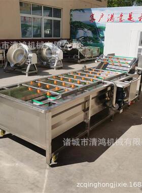 商用蔬菜气泡清洗机 净菜加工设备 定制连续式果蔬加工成套机械