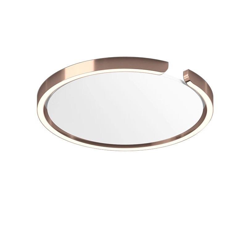 Light luxury minimalist ultra-thin creative German ring round LED ceiling lamp living room bedroom study room decoration C character