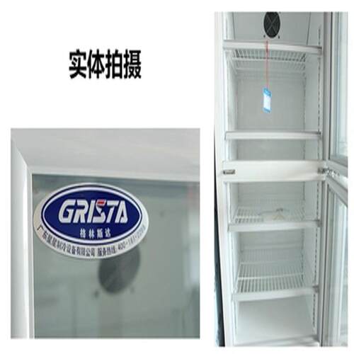 广东商用立式单玻门饮料展示柜直冷冷藏柜保鲜柜食品留样柜 - 图0