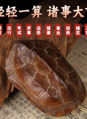 天然真乌龟壳真龟甲文玩六爻铜钱易经64卦算挂摇卦工具手把件摆件
