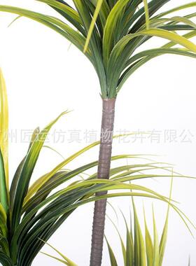 可弯曲仿真客厅绿植厂家直销客厅盆栽植物人造装饰树龙血树洋铁兰