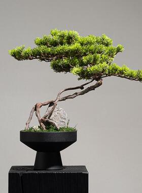 东方美学陶瓷迎客松绿植盆景茶室玄关台角落高级感装饰摆件