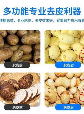 工厂直销新款不伤果肉土豆脱皮机跨境商用不锈钢土豆去皮机全自动