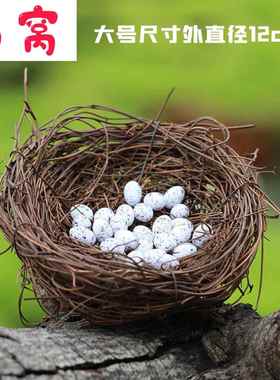 苔藓微景观摆件 幸福鸟窝 鸟蛋 DIY造景摆件小鸟配件饰品鸟巢木屋