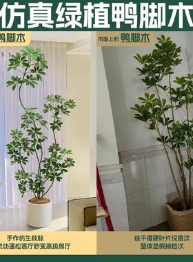 彷真绿色植物高端轻奢彷生鸭脚木室内客厅沙发边大型盆栽落地假植