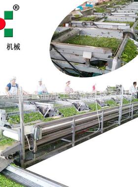 厂家直销 规格定做 产量定做 工业大产量 全自动毛豆剥壳机
