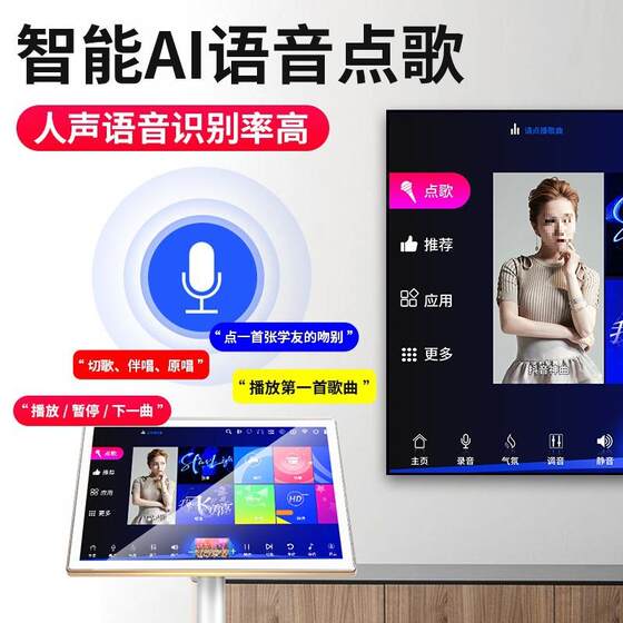 奇声家庭ktv音响套装家用卡拉ok点唱歌一体机客厅K歌音箱全套影院