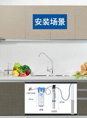 滨特尔I40002套装美国爱惠浦净水器商用大流量制冰机用净水器