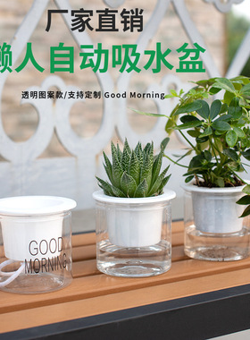 大号早安盆繁星盆水培双层套盆栽绿植绿萝自动吸水懒人多肉花盆