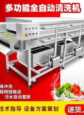 喷淋清洗机 现货通过式长类蔬菜清洗机 压气泡喷淋果蔬清洗设备