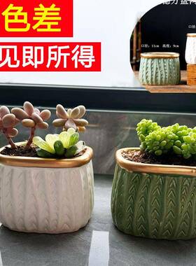 双色控根拇指小盆陶瓷多肉花盆家用肉肉专用陶土盆厂家直销