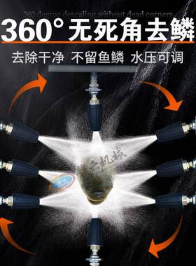 赣云牌压去鳞机自动去鱼鳞机刁子鱼去鳞机自动脱鳞机无损去鳞机
