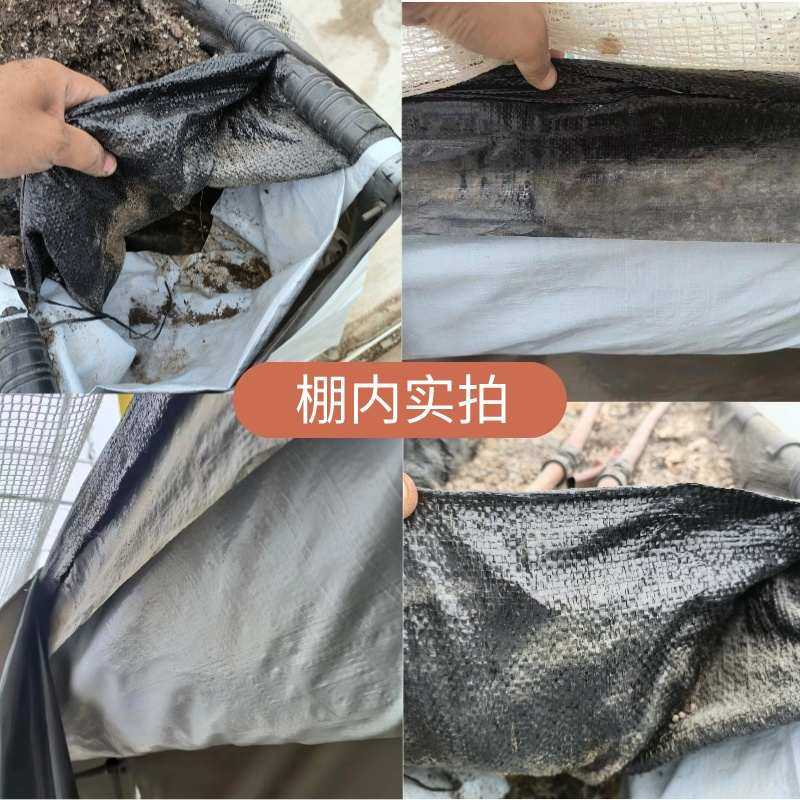 草莓种植基质兜保肥支撑布温室大棚无土栽培设备基质兜,淘宝优惠券,粉丝福利购,淘宝优惠卷