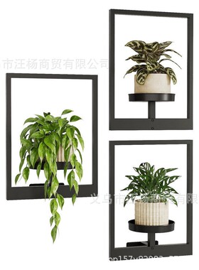 跨境壁挂式架置物架挂件墙壁装饰花卉展示植物架花盆室内室外花架