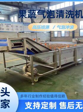 商用瓜果蔬菜气泡清洗机辣椒海鲜全自动喷淋式清洗机多功能洗菜机