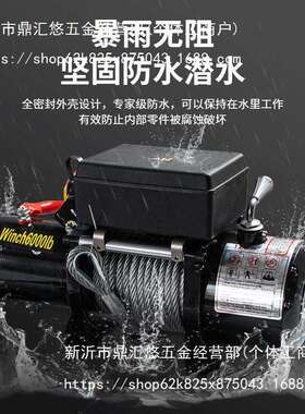 电动绞盘12V越野车汽车自救绞盘机24v电动葫芦车载卷扬机小吊机