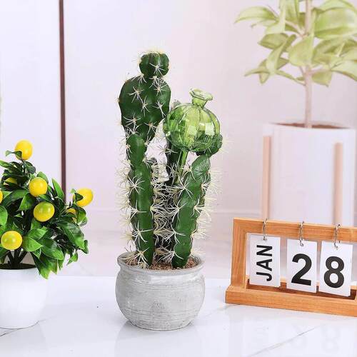 3/6Pcs Plant Self Watering Globes Automatic Plant Water Feed - 图1