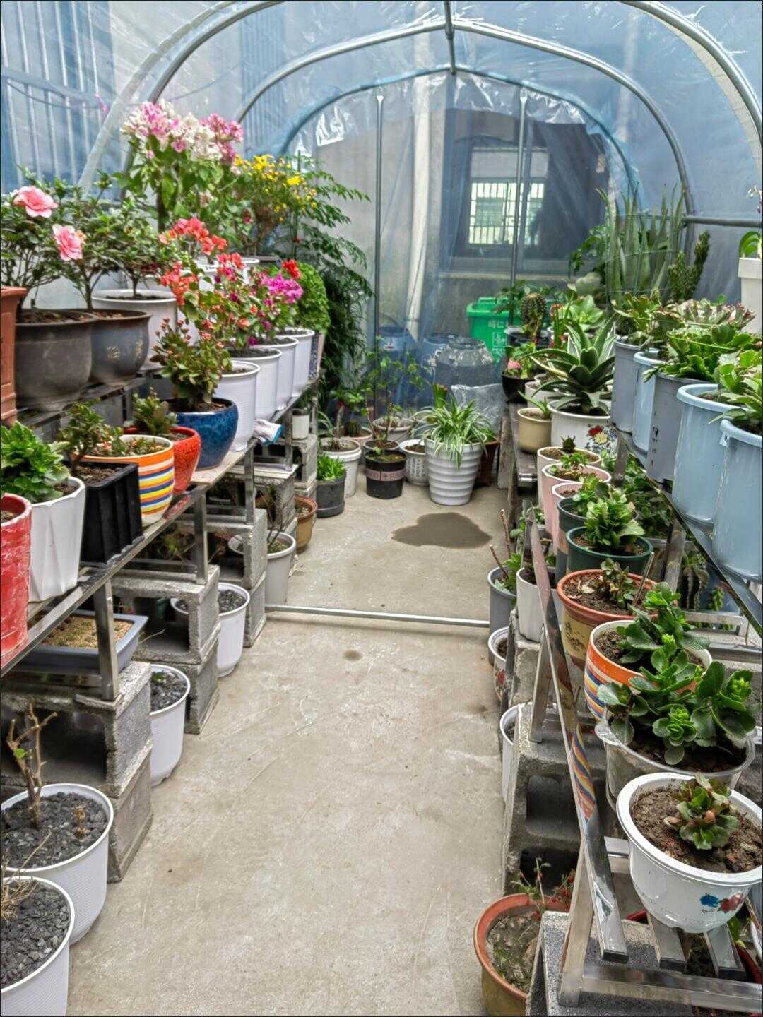 花棚温室骨架 新人首单立减十元 22年8月 淘宝海外