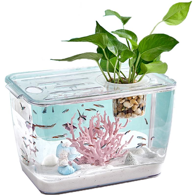新款塑料鱼缸带盖高清透明水族缸金鱼缸乌龟饲养缸桌面小型水草缸 - 图3