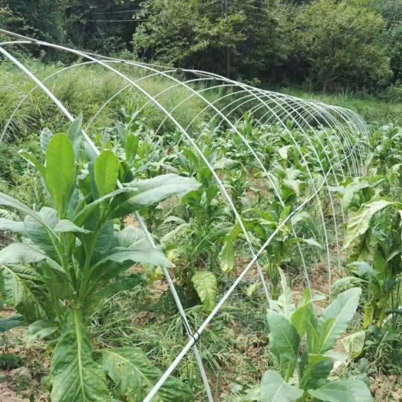 玻璃纤维杆蔬菜小拱工弓棚支架育苗杆竿防晒虫保温膜葡萄农用育苗 - 图1