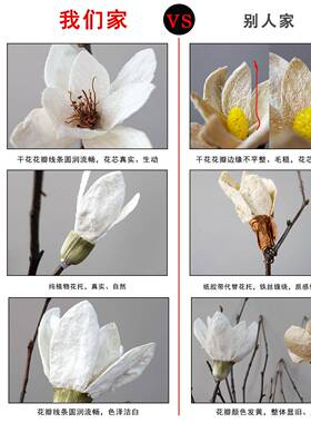 细高陶瓷黑白花瓶北欧旋转干花花器简约电视柜玄关摆件意式轻奢