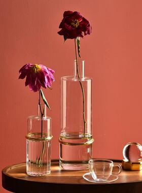 碧轩北欧灯工玻璃花瓶家用干花香薰瓶装饰摆件创意小口插花水培瓶